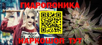 дурь Будённовск