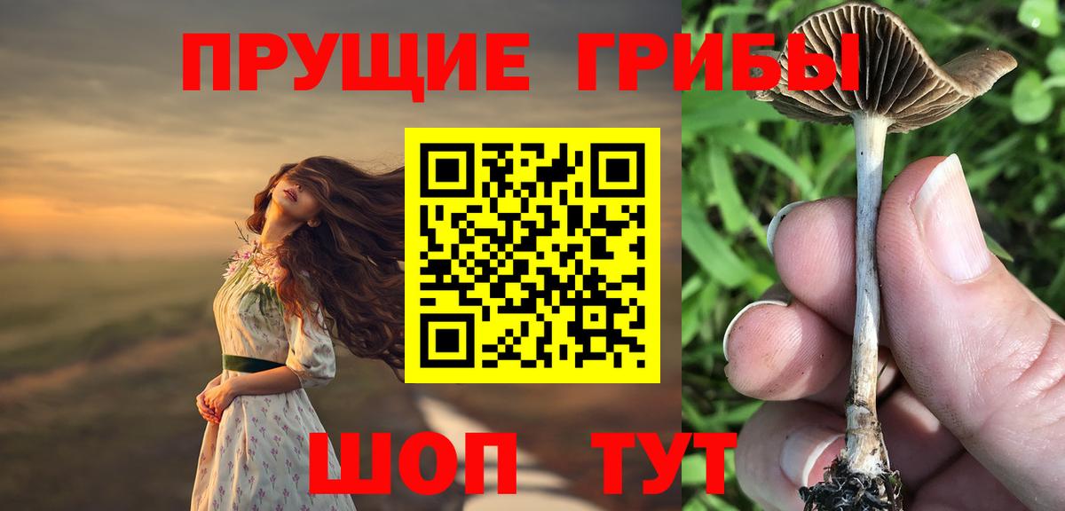 Галлюциногенные грибы прущие грибы  магазин продажи   Вологда  Вход с VPN 