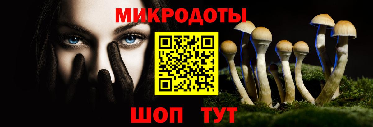 Псилоцибиновые грибы Cubensis Вологда